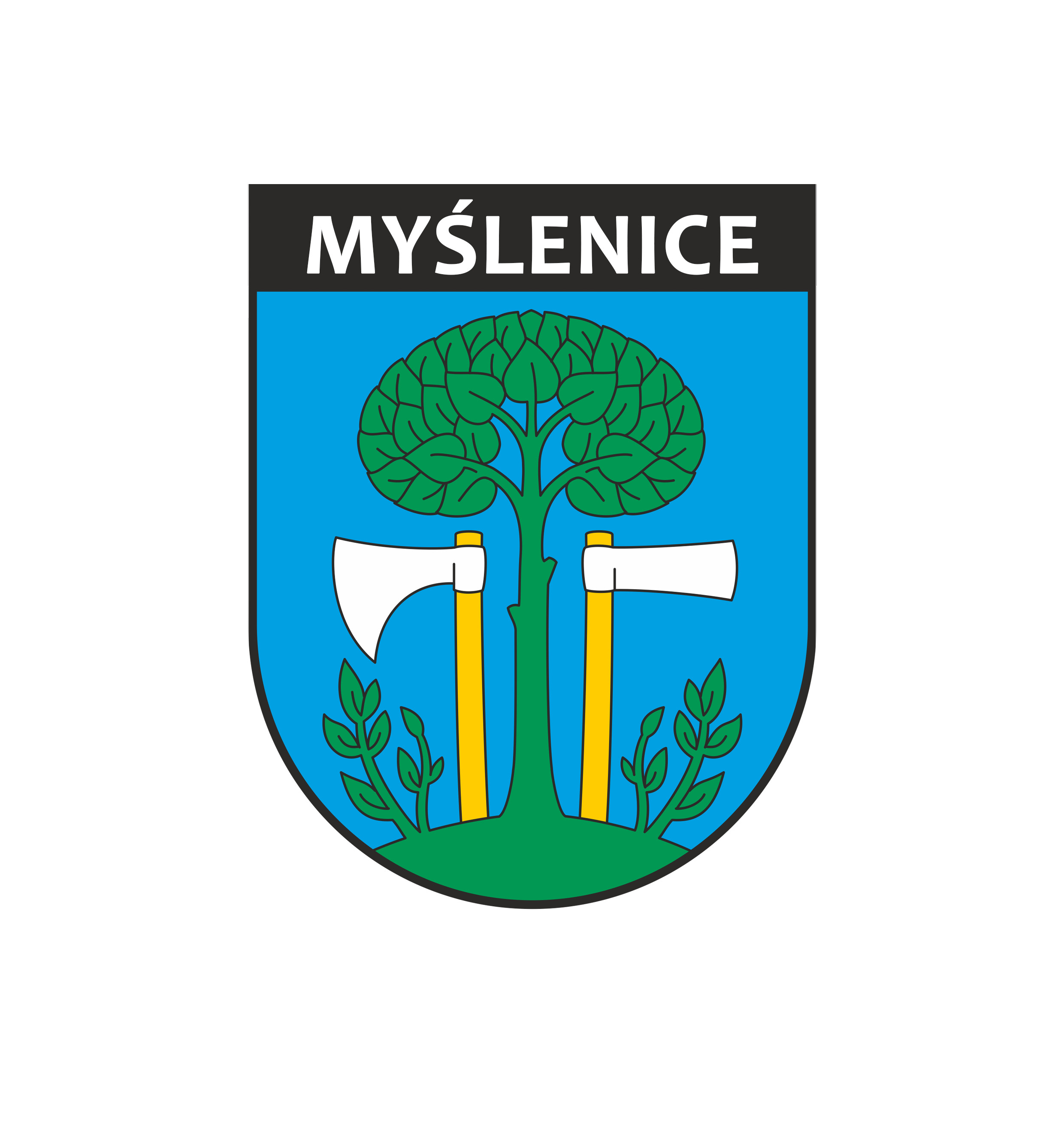 Miasto i Gmina Myślenice